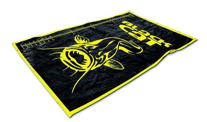 Black Cat - img17105006034526.jpeg